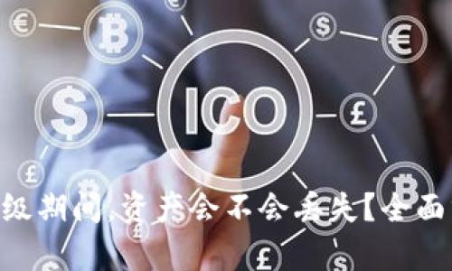 Tokenim升级期间，资产会不会丢失？全面分析与解答