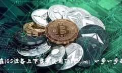 如何在iOS设备上下载和使